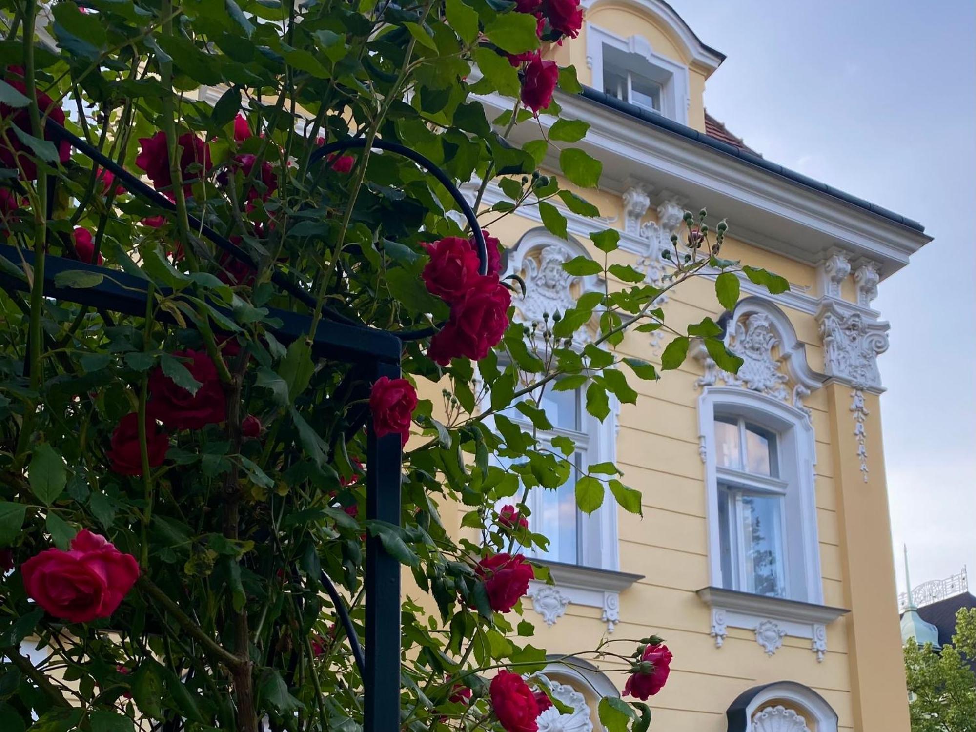 Salve Teplice Apartamento Exterior foto